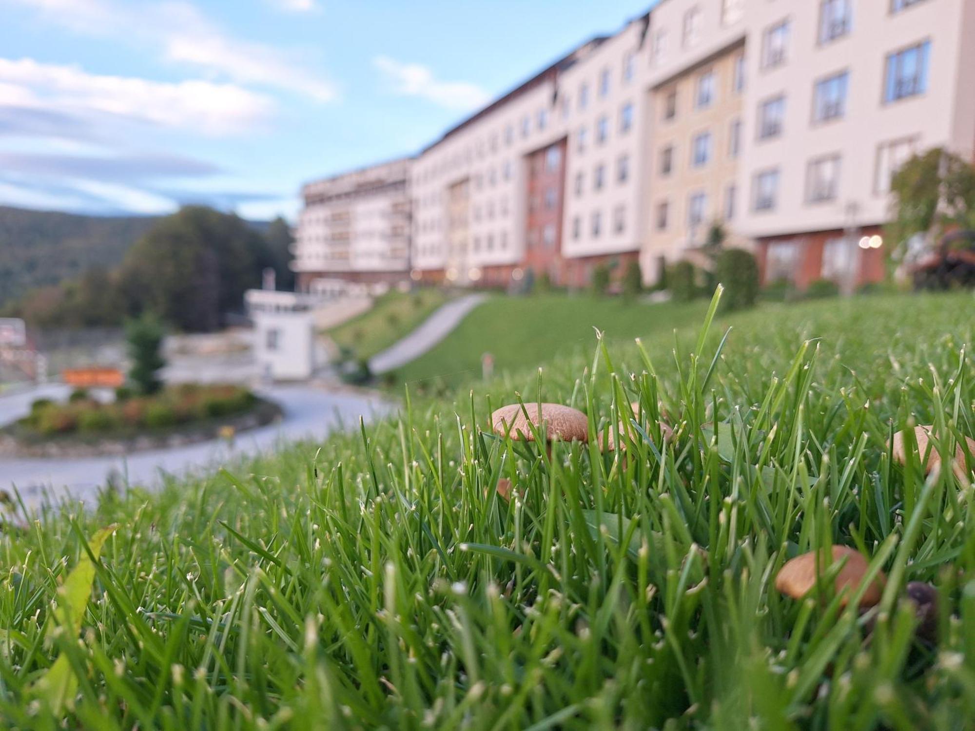 Apartmán Vistanova Milmari S33 Kopaonik Exteriér fotografie